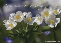 CM048