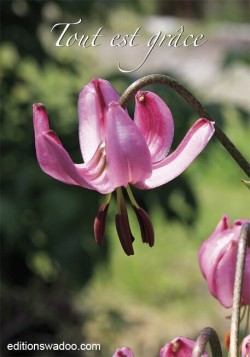 CM050
