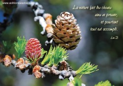 CM318