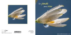 CMC31