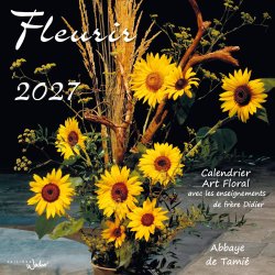 CFL27