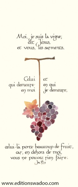 SJM149S