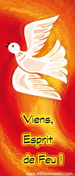 VE472S